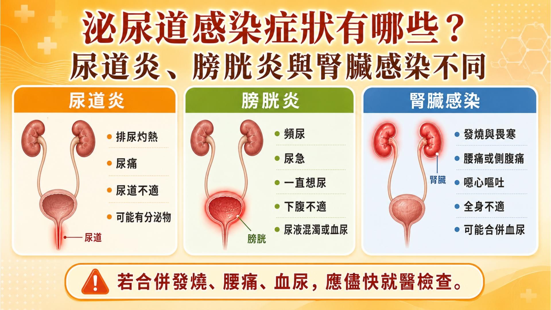 泌尿道感染症狀有哪些？