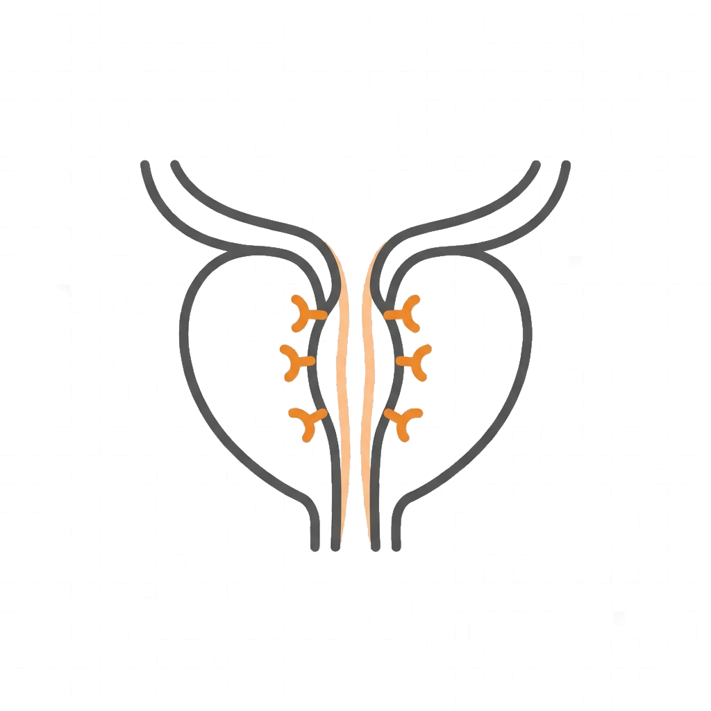 微創攝護腺拉開手術Urolift