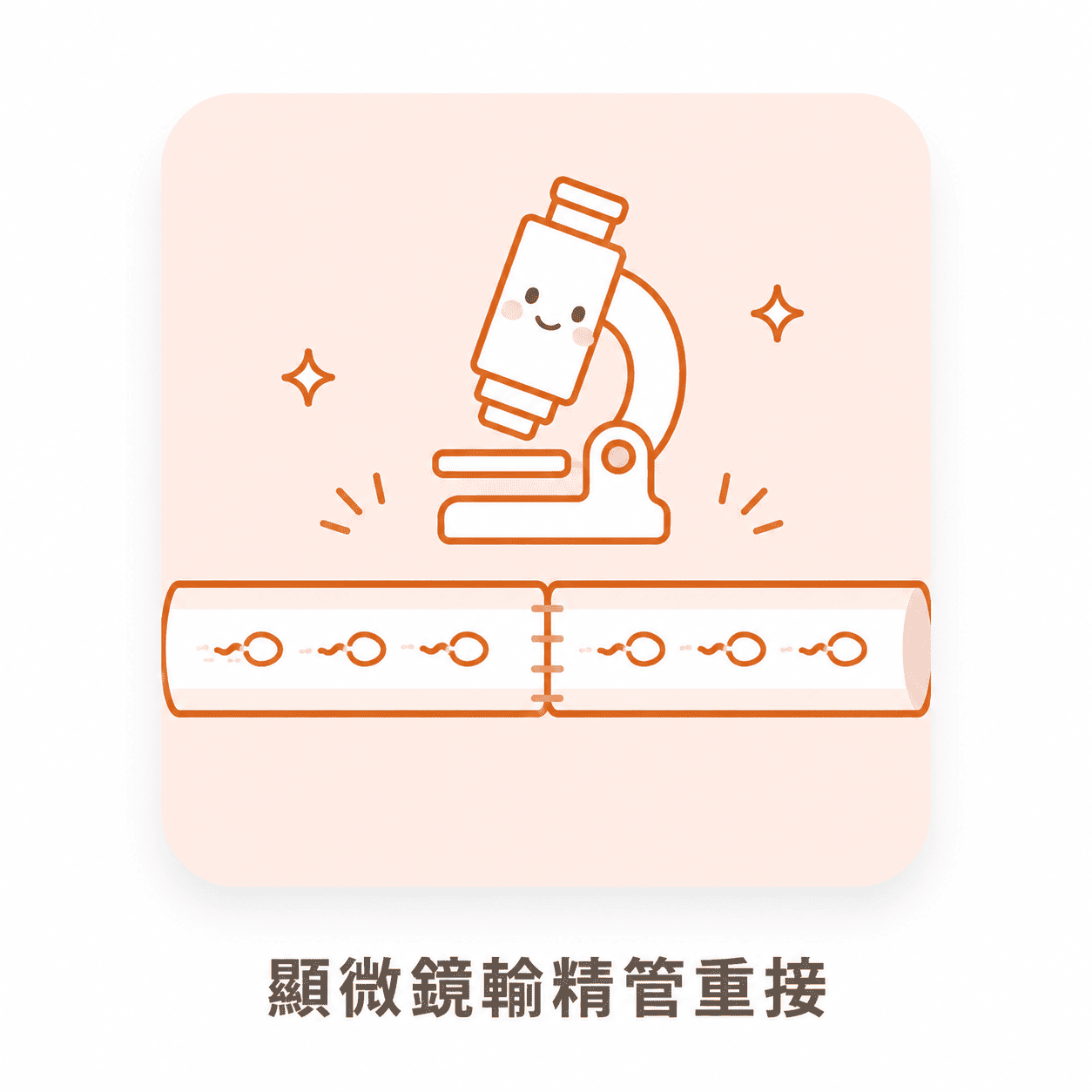 結紮後還能生小孩嗎？顯微鏡輸精管重接手術成功率、費用與術後恢復完整解析